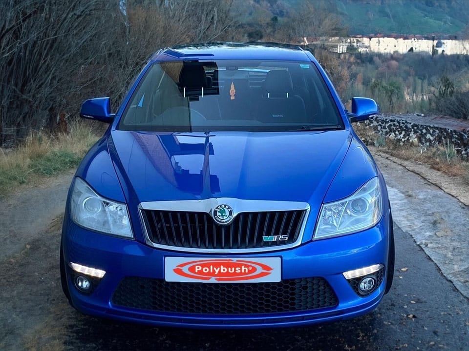 A blue Skoda Octavia VRS parked on a road with greenery and distant buildings in the background. The car features a prominently displayed "Polybush" logo on the front number plate.