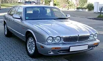 x308.jpg