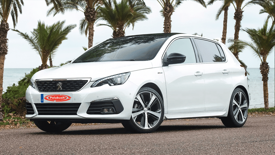 A white contemporary hatchback car parked on a roadside, framed by lush palm trees with a hazy sky in the backdrop.  A sticker with 'polybush' is visible on the front bumper.